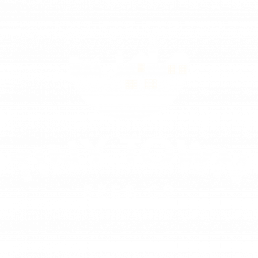 Tiny Town Beer Co Logo